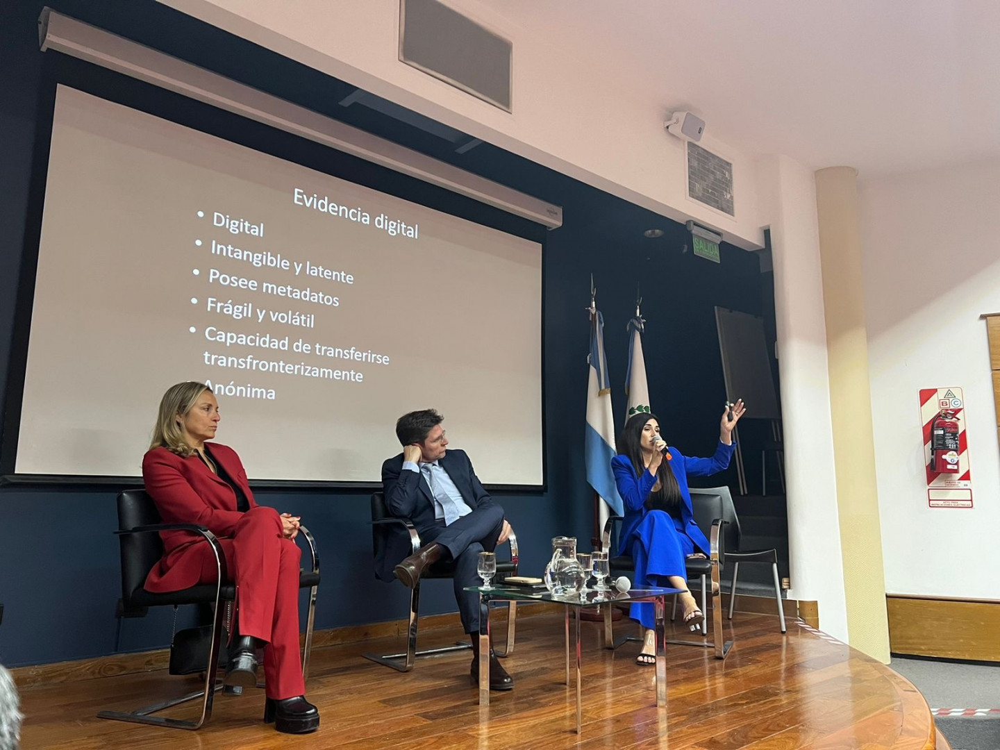 Los nuevos desafos de la litigacin penal en mbitos digitales